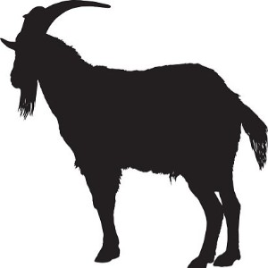 Etorki